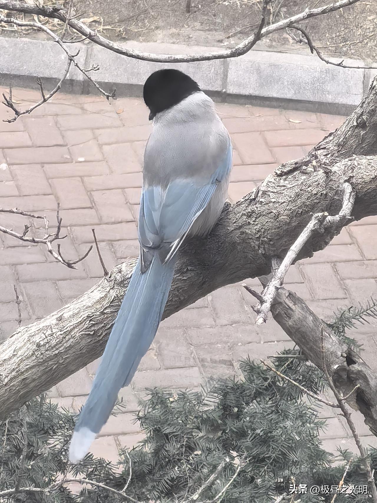 男人至死是少年

前两天和老同事闲聊两句，说起他家孩子爸爸不听她的建议，上50岁