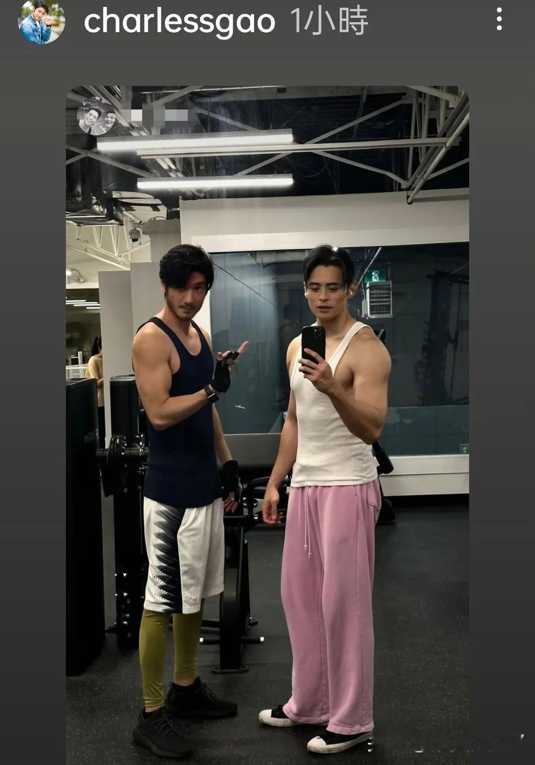 二哥今日轉分享💪