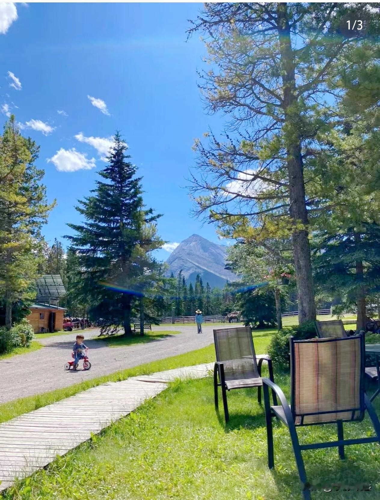 脑袋让驴踢了，竟然还有这样的认知！
 


 
加媒敲警钟：真正的威胁不是东方大