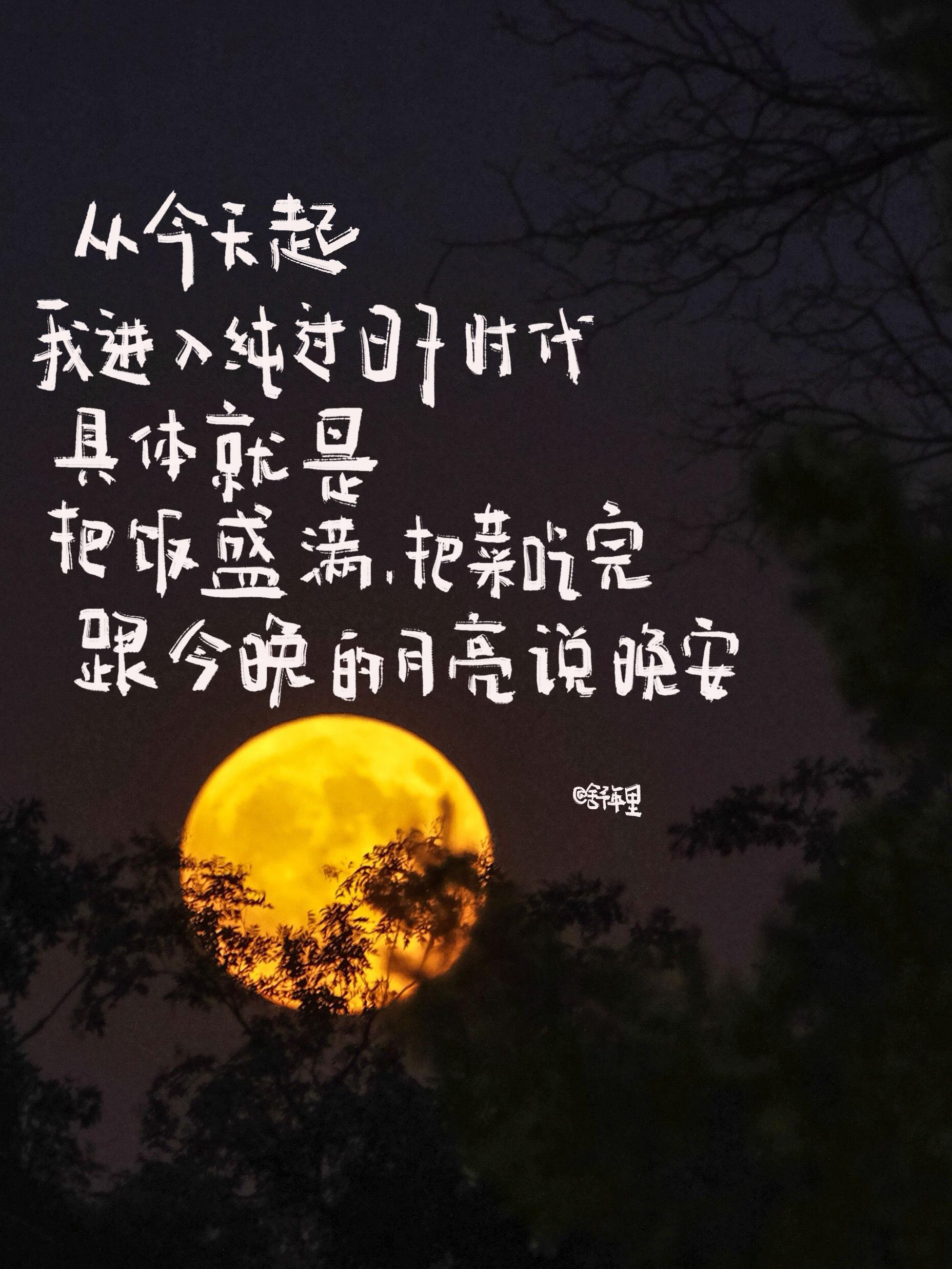 从今天起我进入纯过日子时代具体就是把饭盛满，把菜吃完跟今晚的月亮说晚安一入冬我们