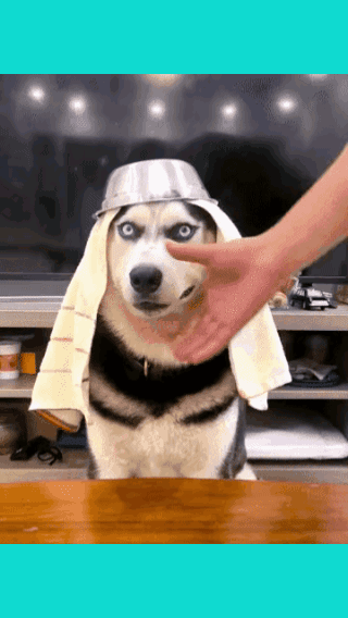 安上假牙，
特别像一个名人，
一时想不起来了！