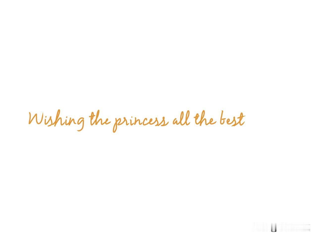 愿公主一切顺利