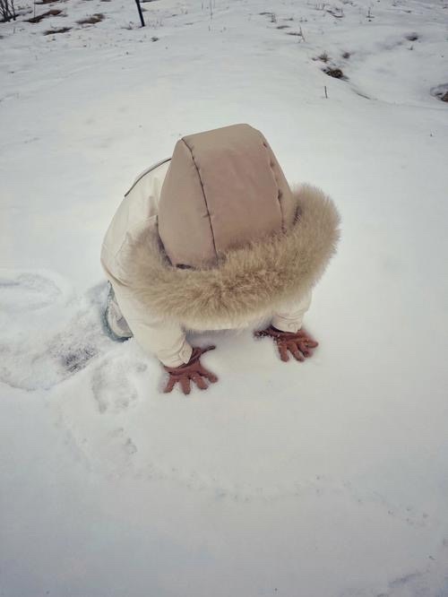 怡心戏对联成语吟联三万对 雪泥鸿爪辩浮生。求上联？……马蹄韵中华新韵 大同·大同