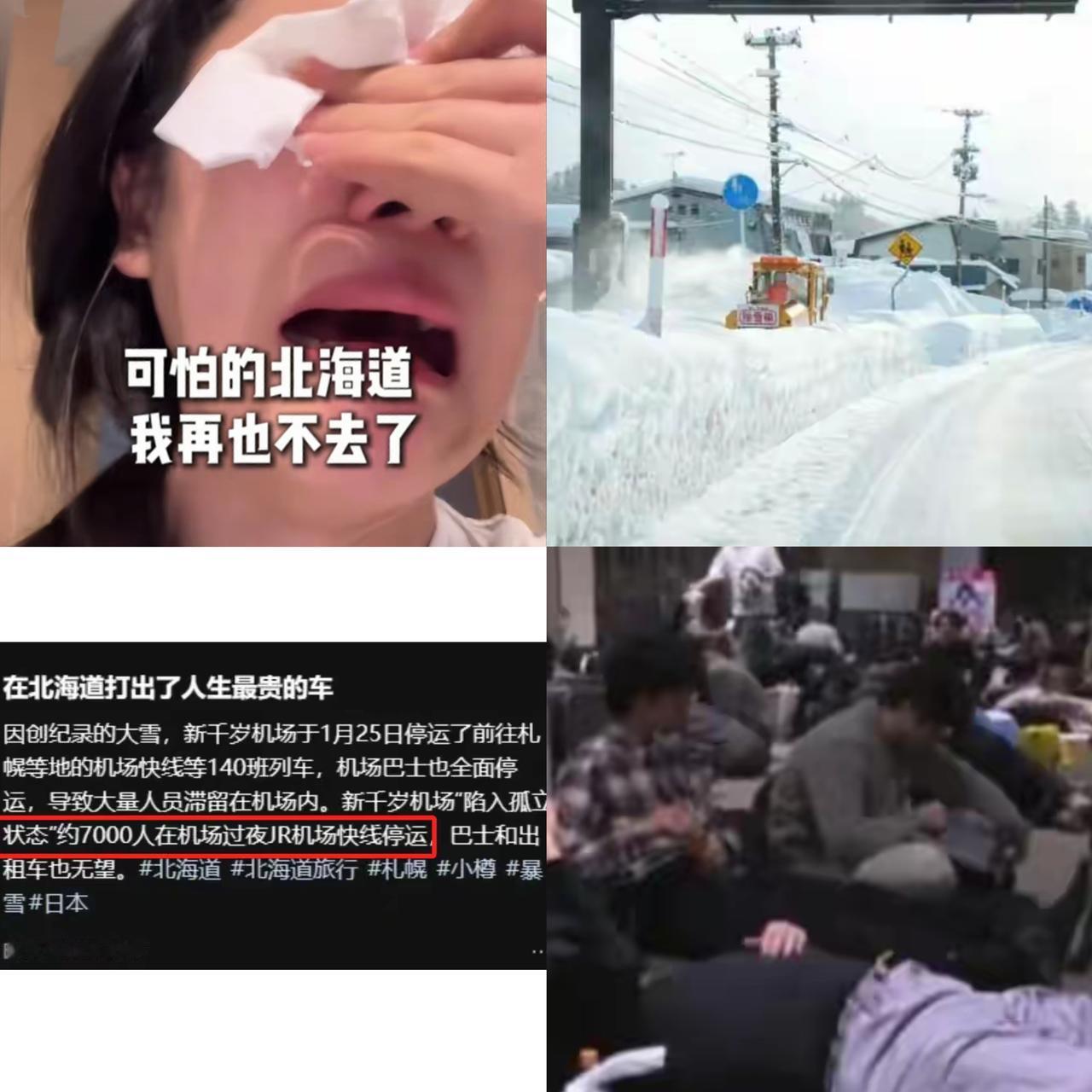 北海道的大雪没冻着人，倒先把一群“巨婴”的遮羞布撕得明明白白！国家早用大喇叭喊破