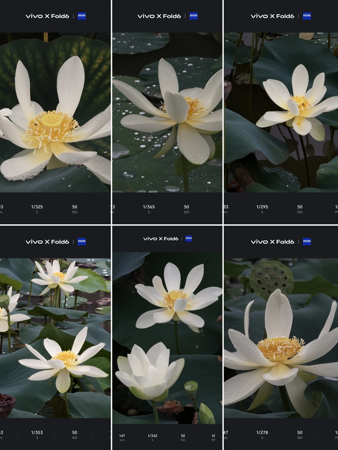 vivo X Fold6蔡司镜头夏荷素白清雅