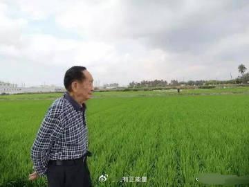 致敬袁隆平院士！ 这才是我们最该追的星[作揖][作揖] ​​​