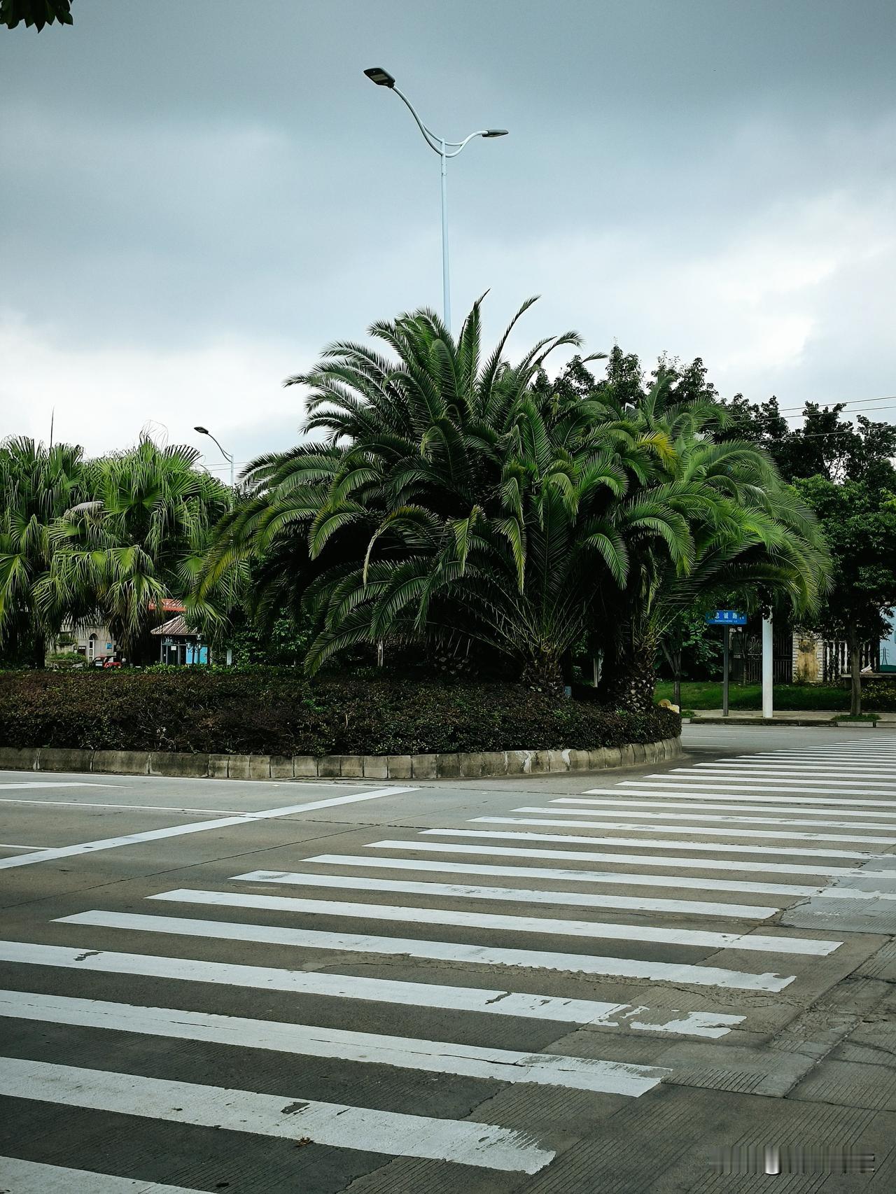 这是要明抢了?
荷兰政府公然冻结
中国半导体企巨头全球运营
中企发声强烈抗议!