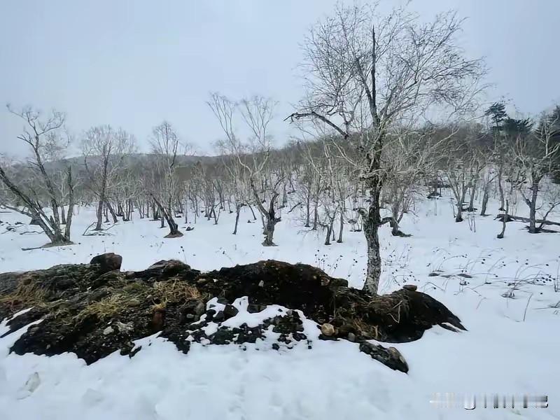 中国至今无法解释的8大离奇事件，你知道几个？这条新闻越看越上头，看到最后我后背的