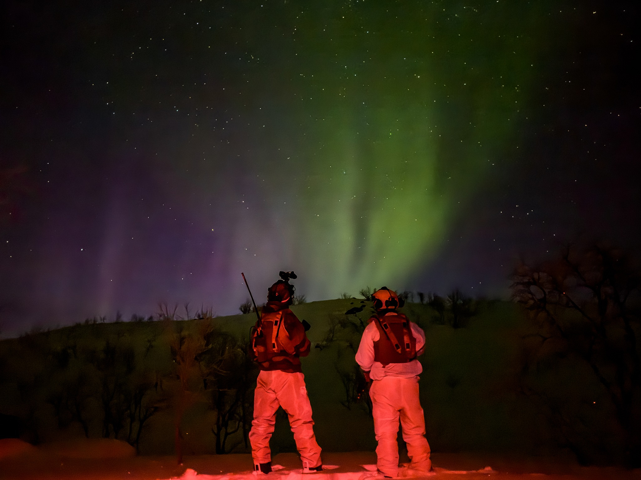 北约“寒冷反应-2026”联合演习烽火问鼎计划