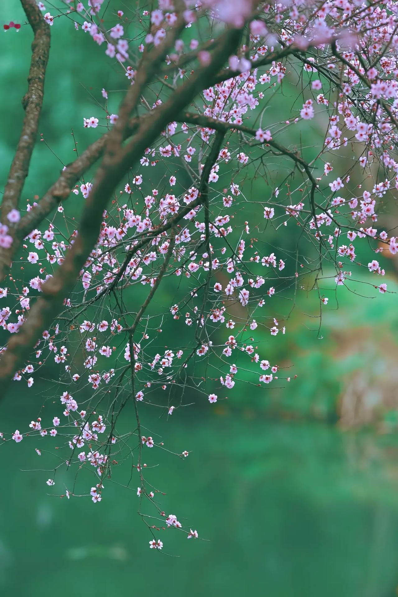 不要把孩子照顾得太好。我一个朋友，夫妻双方都非常优秀，家里面都有公车接送，但是自