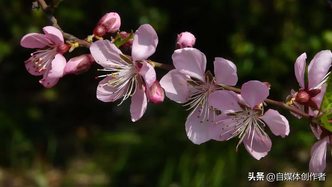 18岁大学生一周花光5万，还通宵搞发明？这种“反常”不是任性是疾病
 
福建福州