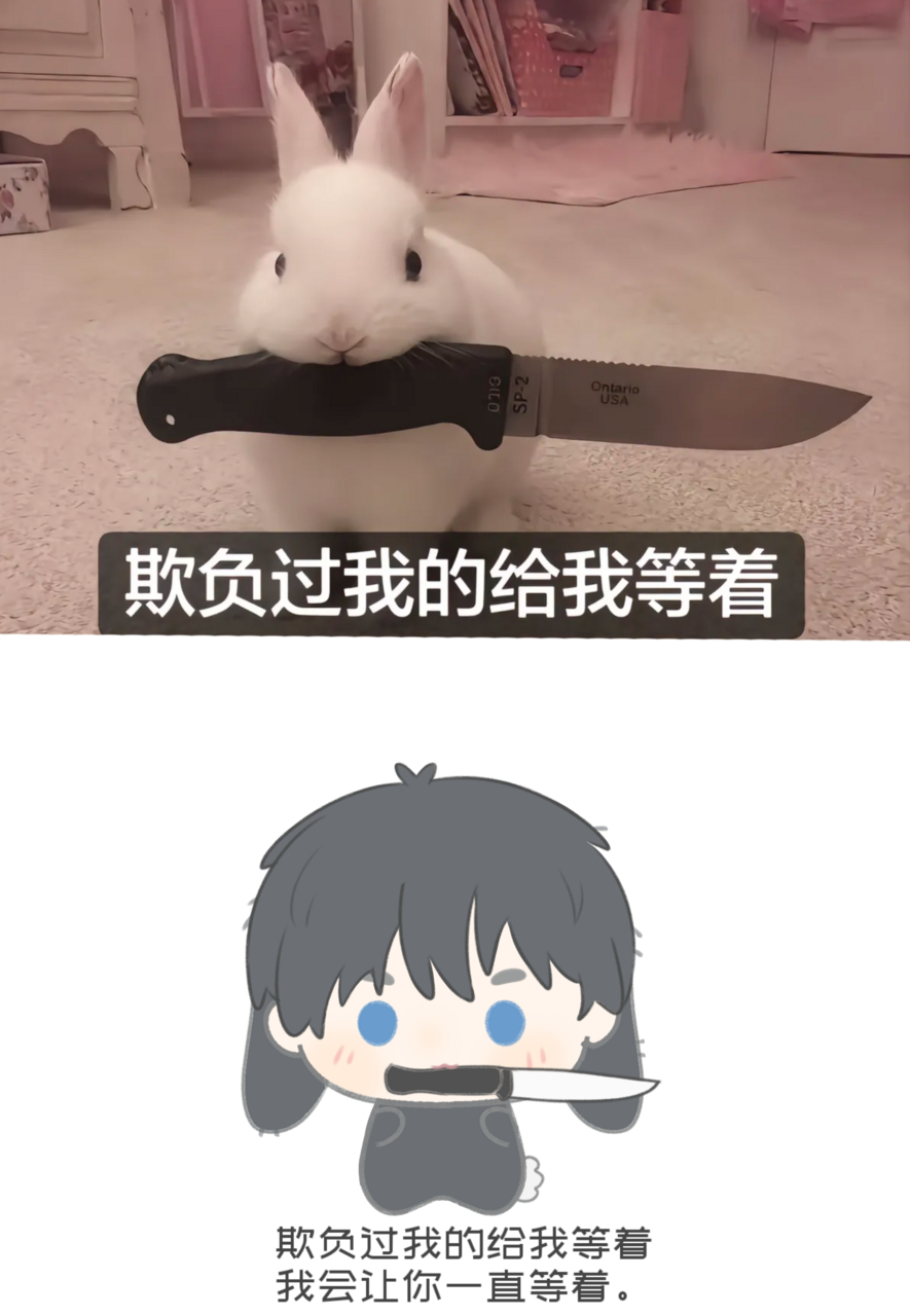 萌届一把刀 