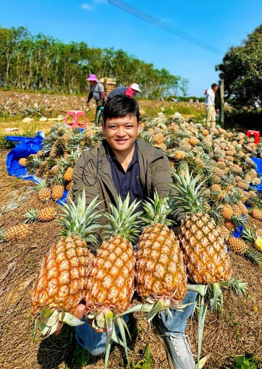 为卖出去的每一颗凤梨负责到底，不辜负大家…