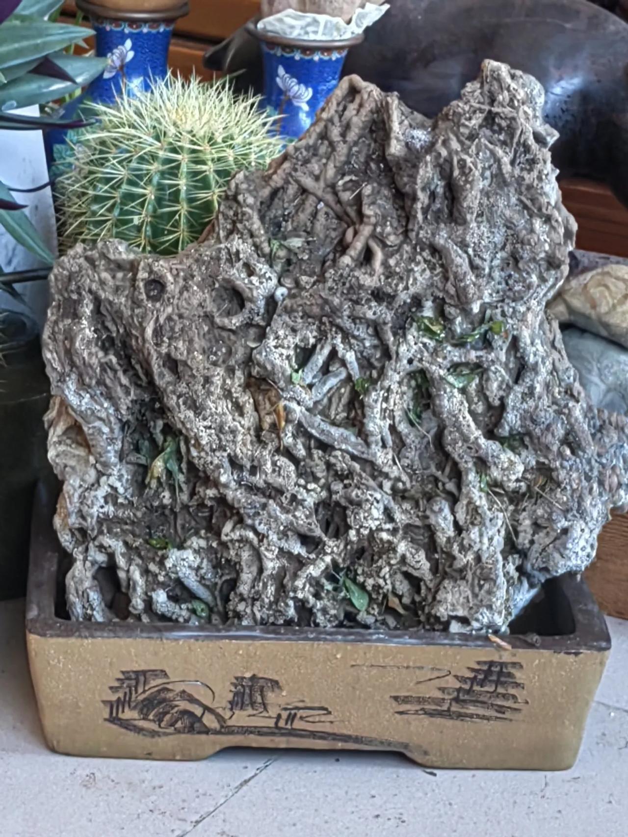 捡了一块上水石！高四十二，宽38公分！