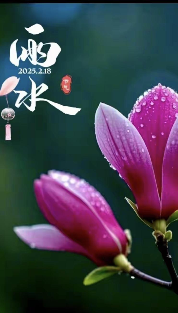 《七律•春雨》
作者：转转看到


薄雾冉冉遮远黛，
细雨濛濛润花开。
碧柳挂珠