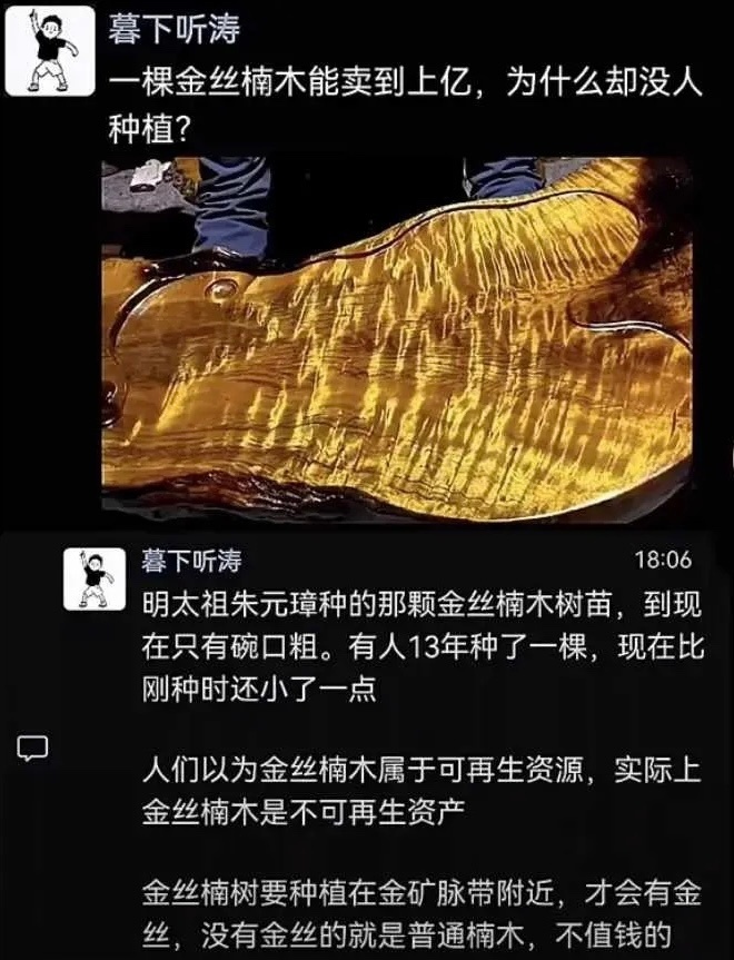 金丝楠木很难种植，这是真的？ ​​​