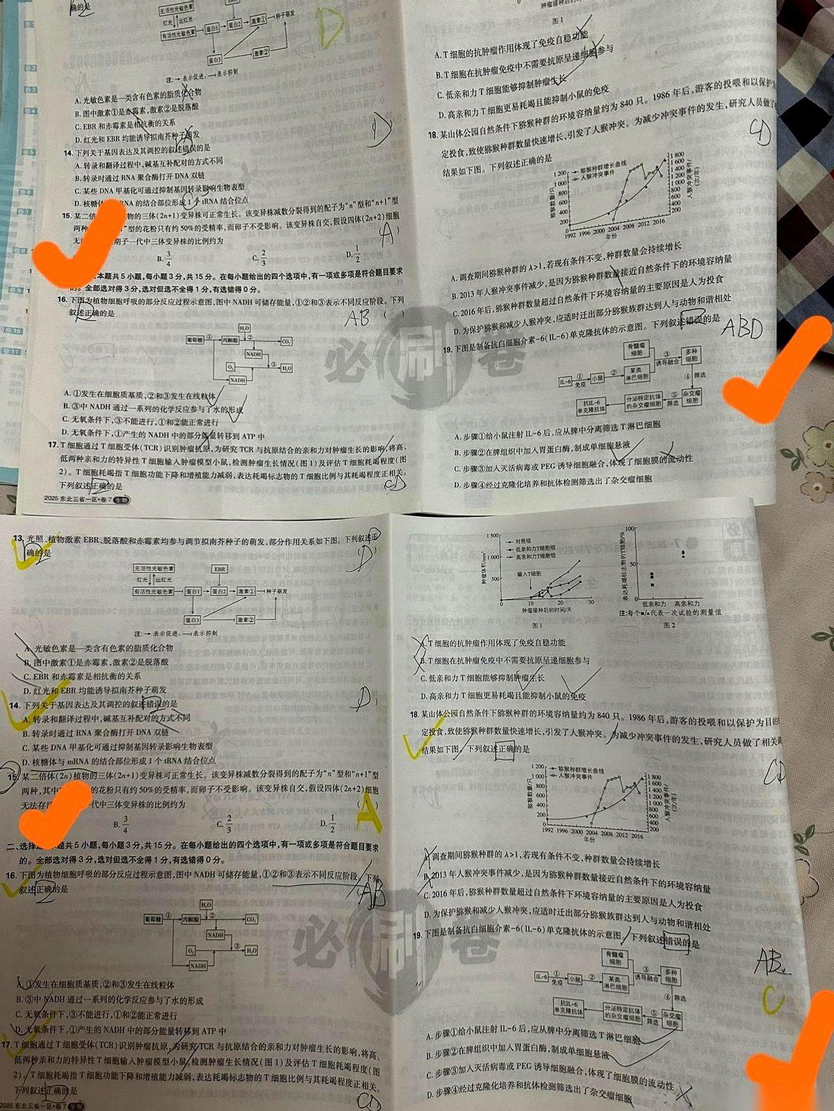 “白做了，第一遍全白做了！”
咪妈捏着两张一模一样的高考卷子，手都在抖。这哪是卷