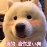 暖宁宁热聚科技