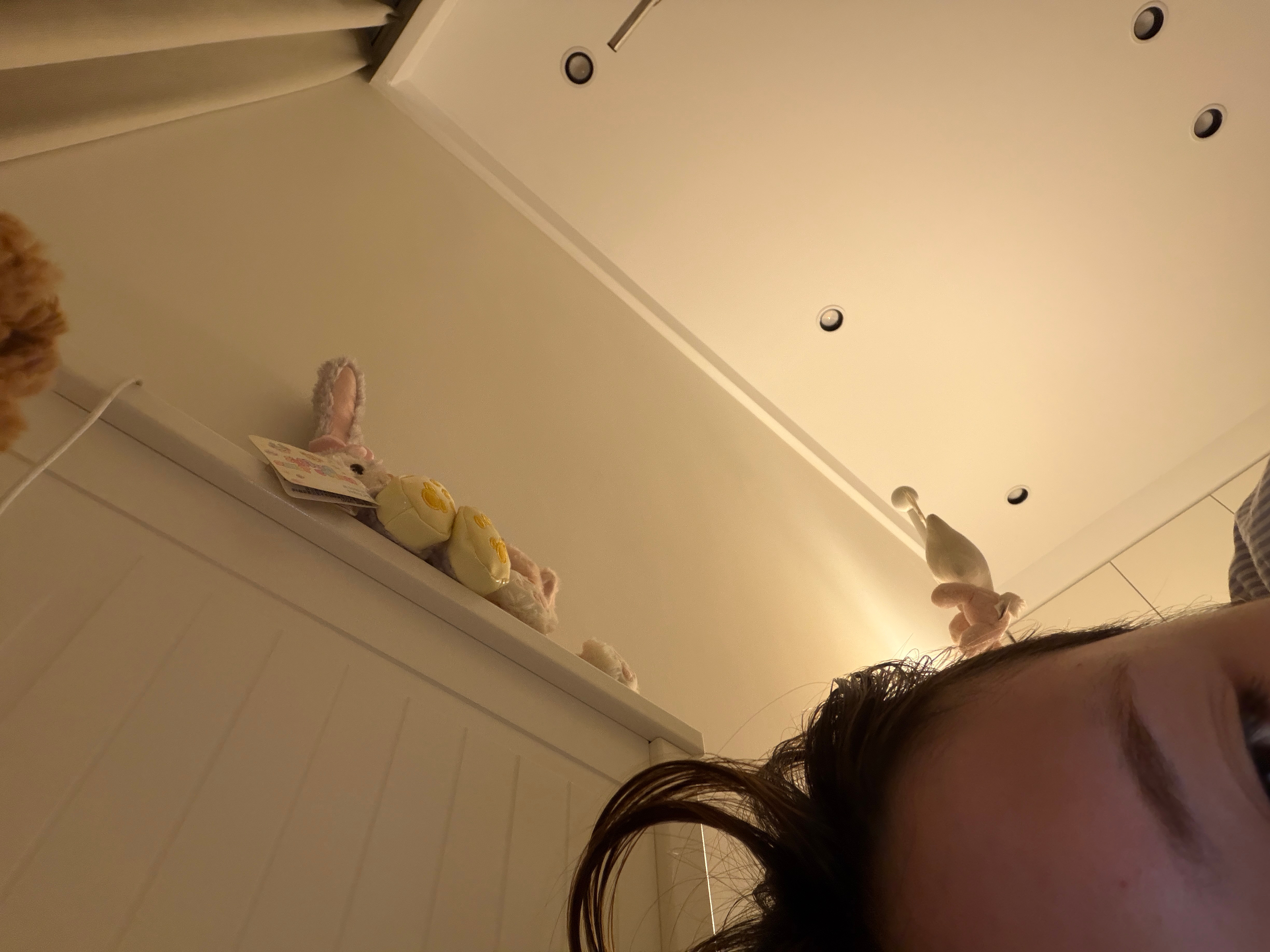 我最近真的一直在睡觉 困 ​​​