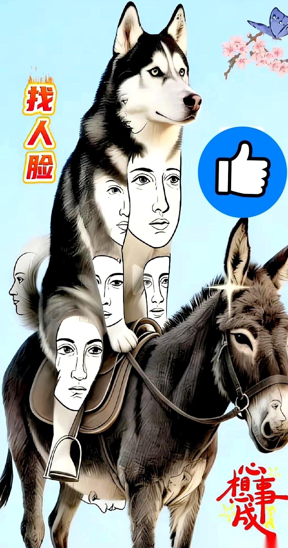 眼睛都快看瞎了。
真的，就为了一张破图，我感觉自己把这辈子的眼力都给预支了。
刚