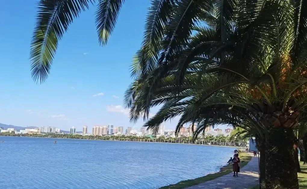 闺蜜把十年老友带去弥勒康养，结果对方天天窝酒店刷剧，她连发三条vlog吐槽猪队友