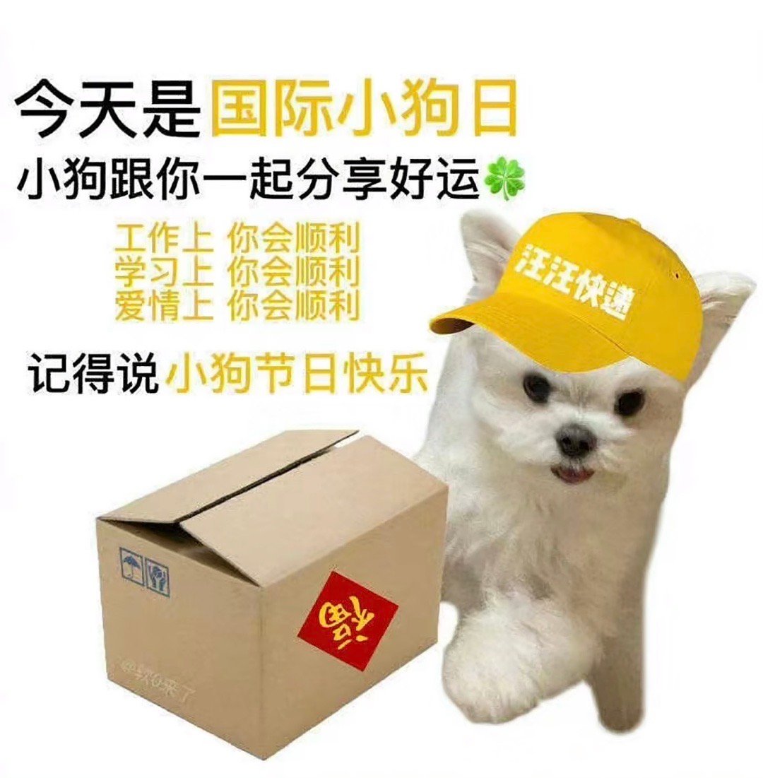 今天是国际小狗日让我们一起谢谢小狗！！ ​​​