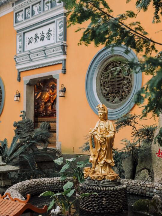 春节攻略第一弹丨普陀山网红打卡地双泉禅院