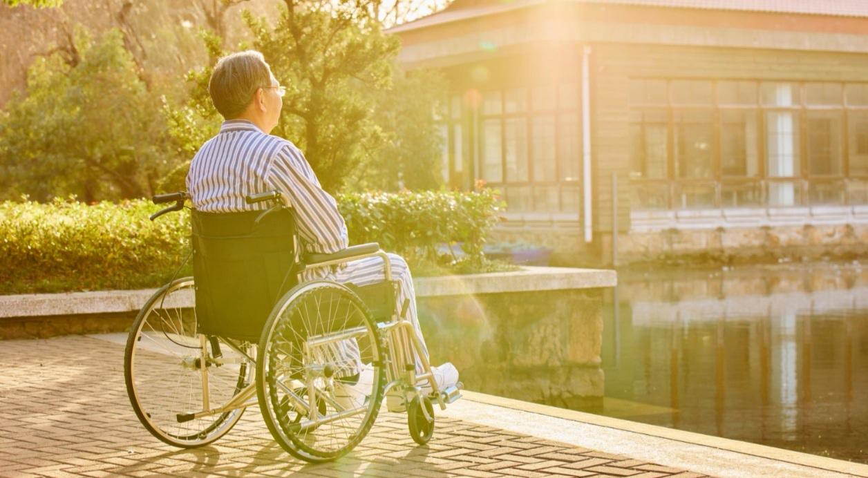 💰 120.9亿已到账！失能老人每月最高省800元，全国申领通道开启

核心速