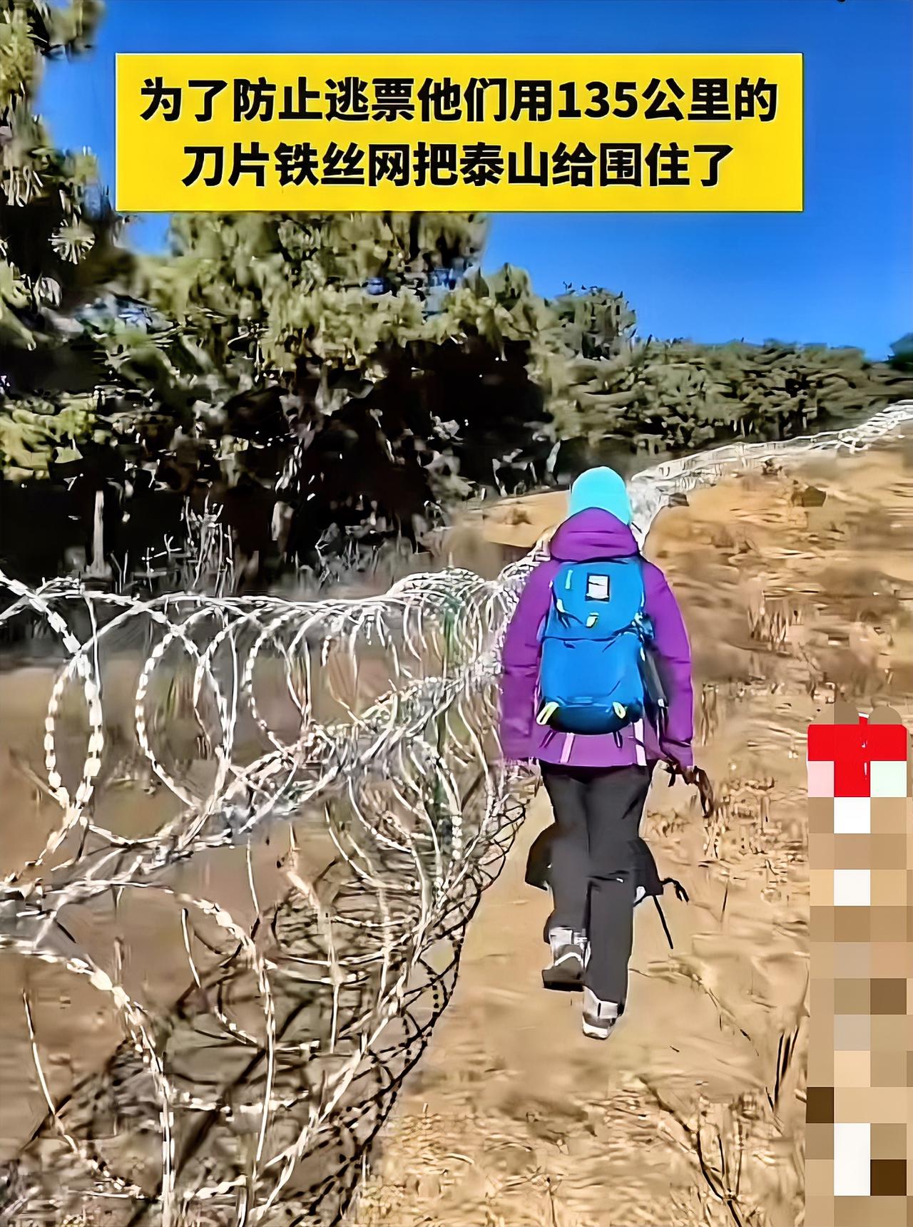 泰山围上135公里刀片铁丝网这事太离谱！耗资2500万，那铁丝网跟边境线、监狱用