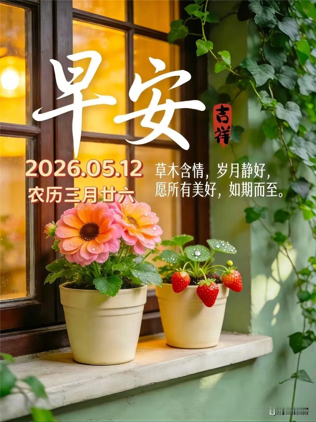 我认为短剧。现在大家喜欢快节奏的生活，短剧正好满足这种需求。当然也不是就是拒绝长