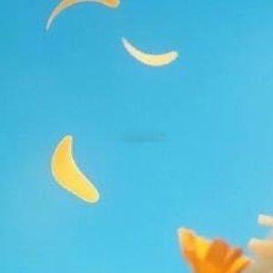 ☀️家人们早安！每日养铁打卡准时上线🌹在线老铁评论区扣888报到，亮出你的铁粉