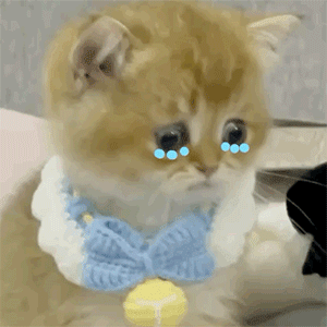 当妈的练无氧真的超级难[哼][哼][哼]每当我肩背，胸胳膊和臀腿每周安排得好好的