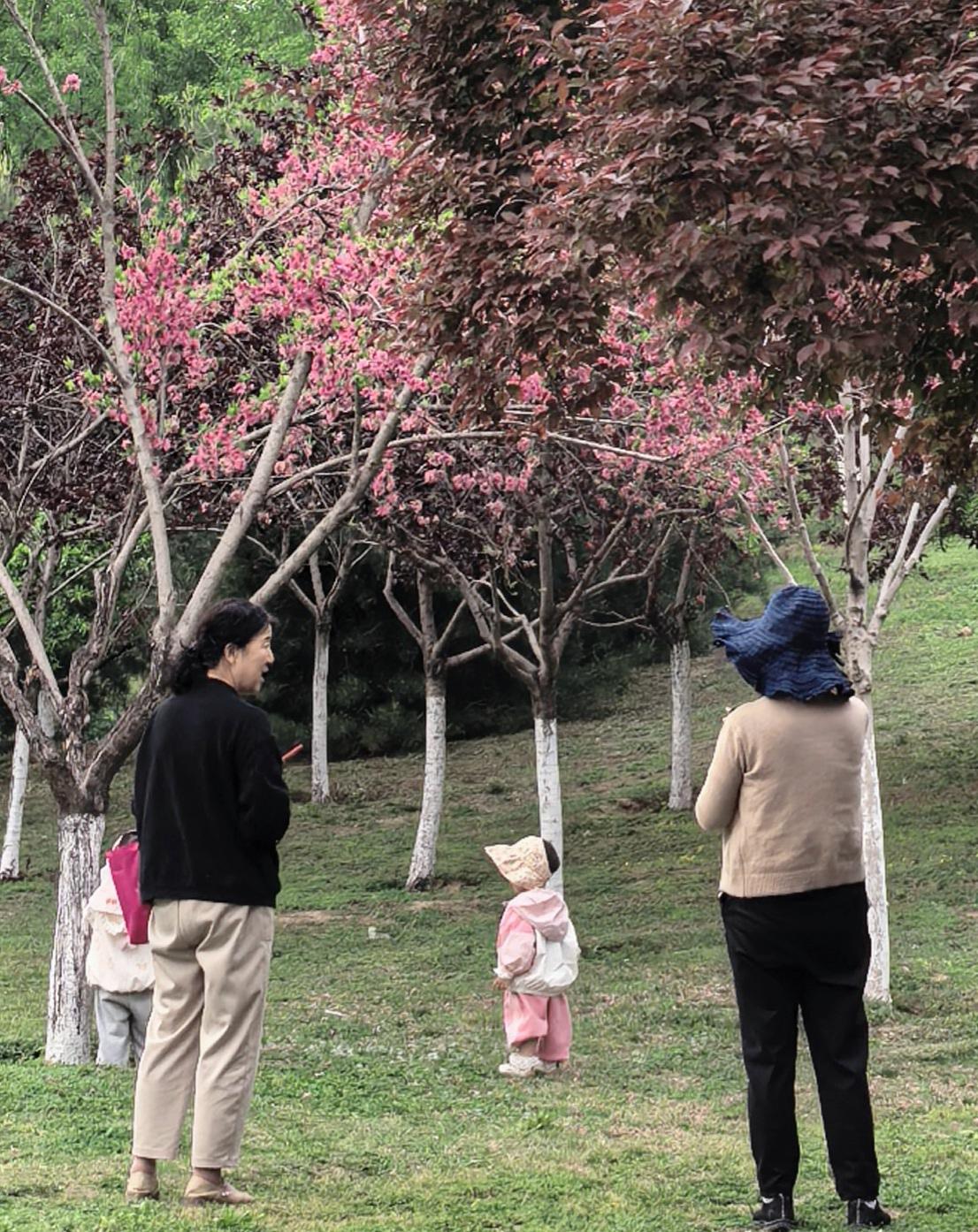 春天带娃出门，大人唠嗑大人的，娃玩娃的，主题“各得其所”。有没有同款带娃的？举个