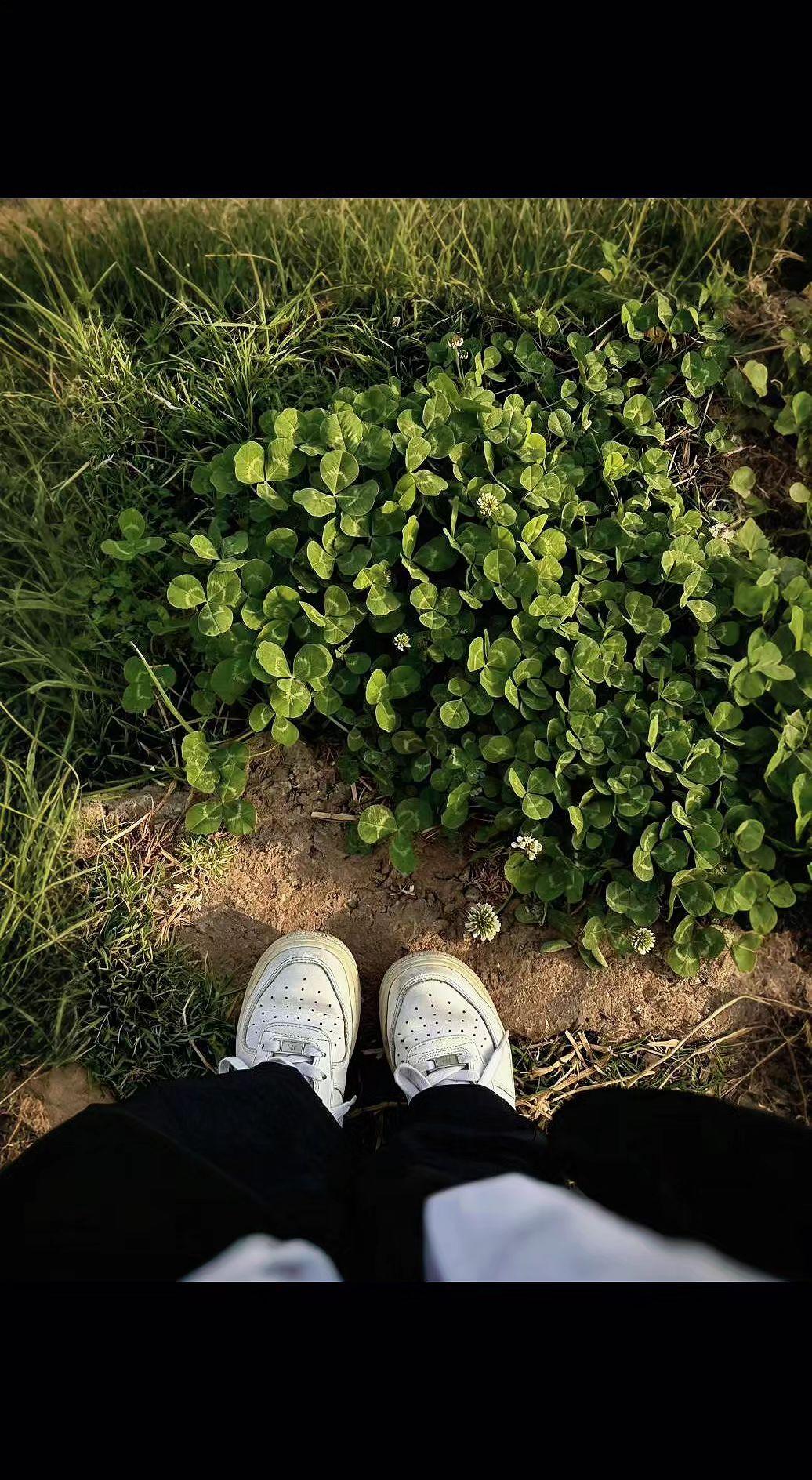 🌱草地偷偷织了件绿衣裳，我的白球鞋是唯一纽扣✨。风过时，连影子都在跳舞～