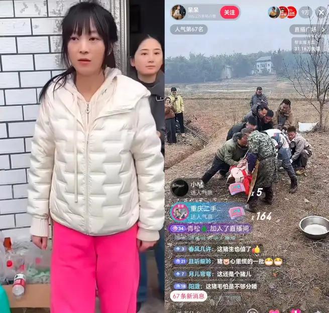 呆呆的按猪事件引发了刨猪汤大聚会，她能红，说起来是偶然，其实应该是…必然……
