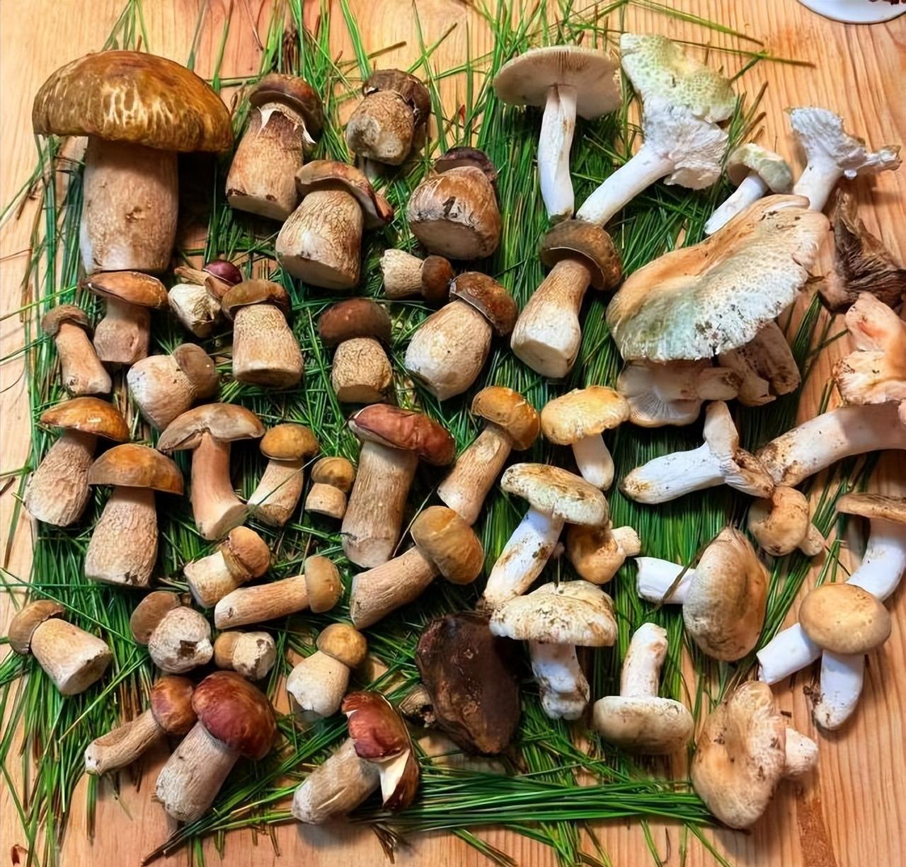 月亮金牛
其实真的也会内耗的
他的内耗
不是那种走不出来的
而是一种积压的状态