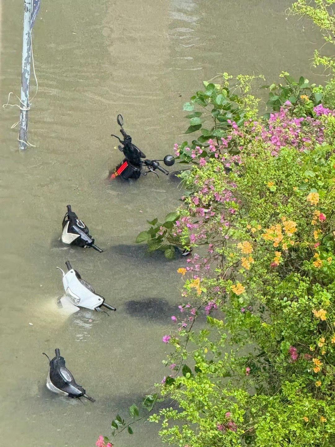海水倒灌澳门内陆，水浸超1.5米，居民生活被打乱，原因竟和它有关？
澳门这次水浸