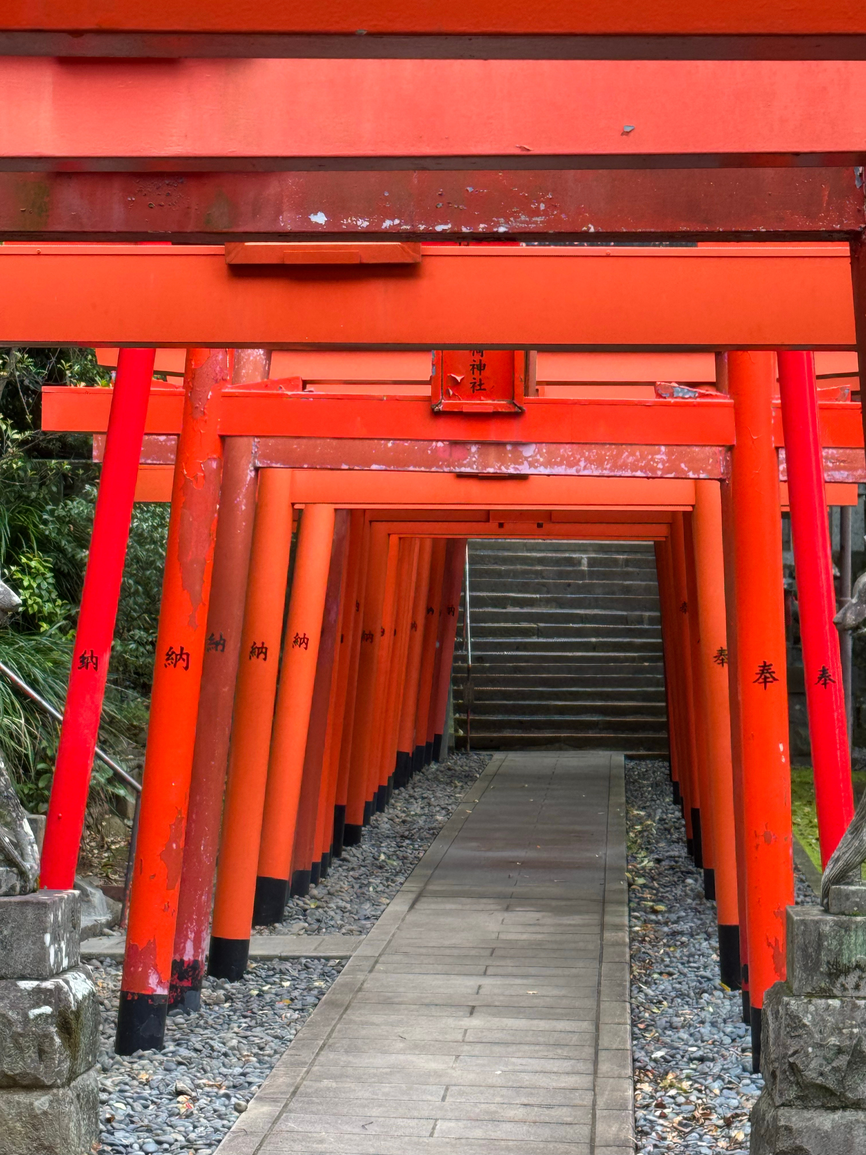 今天正好去了一趟神社，顺便帮你矿祈祷了一波，今晚稳了。森林狼vs掘金