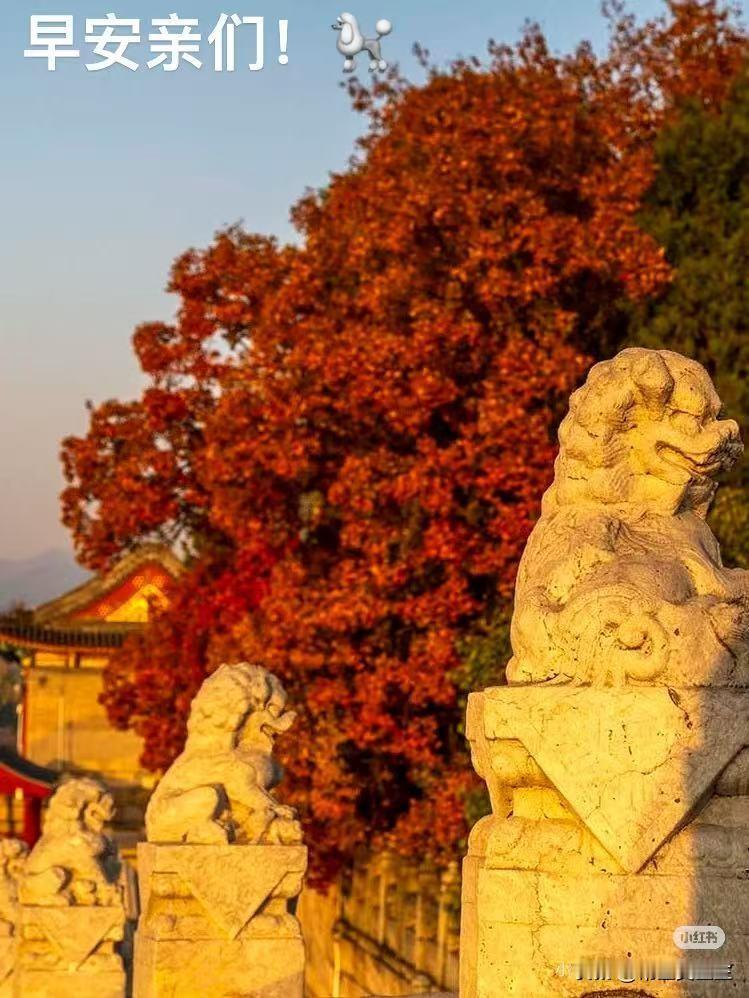 冬日生活打卡季 冬日生活打卡季 冬日生活打卡季 冬日生活打卡季
最近，我始终精心