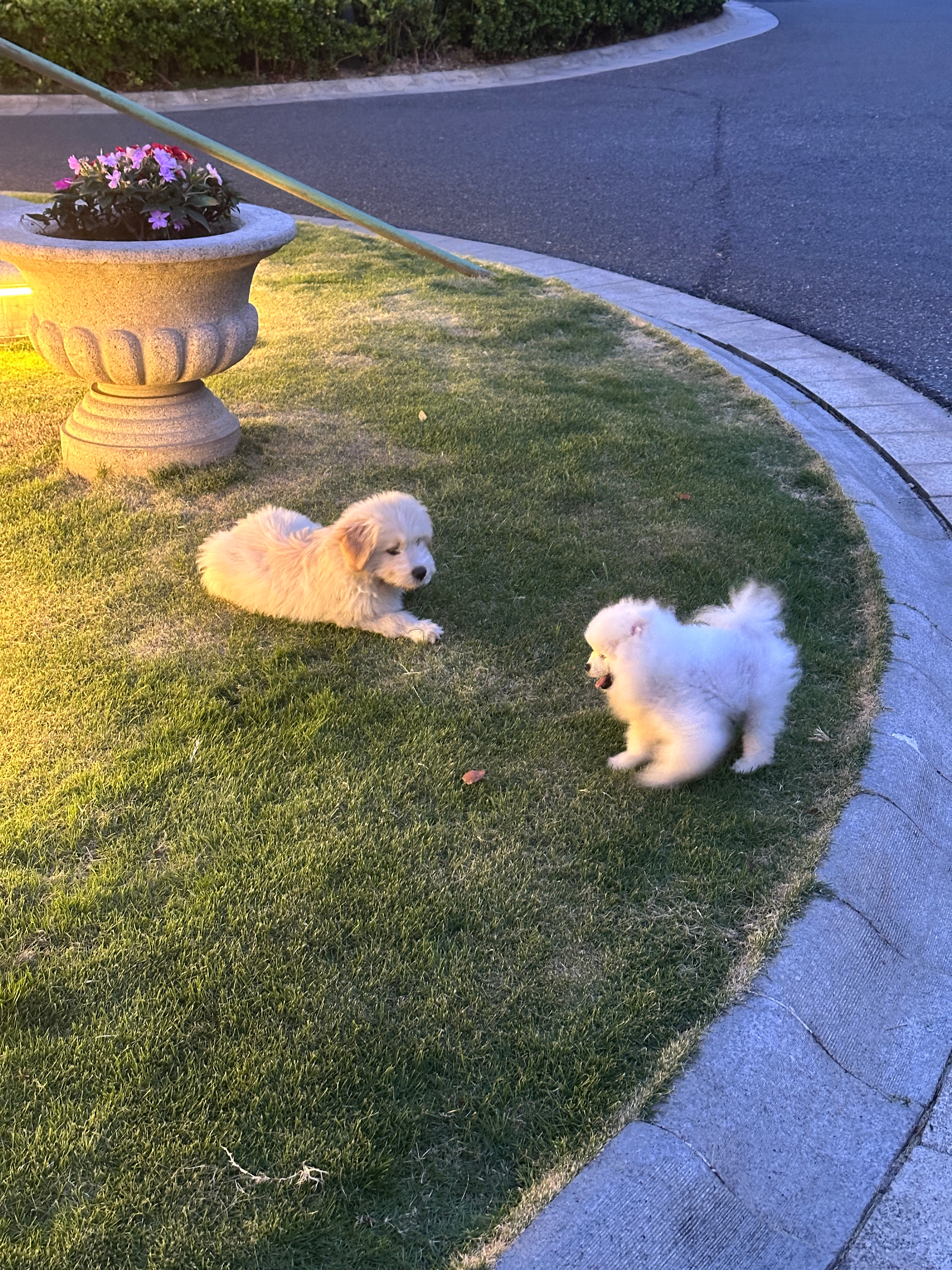 感冒了在床上躺了三天，这种毫无愧疚感的躺平好爽啊 ​​​