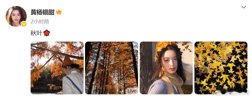 黄杨钿甜风波后首晒照 黄杨钿甜风波后首晒照，这是准备复出了吧？黄杨钿甜时隔半年更