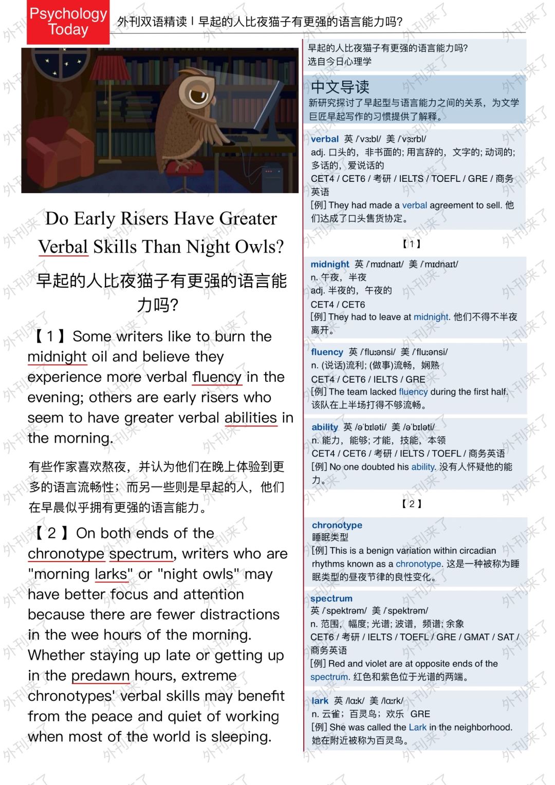外刊精读240｜夜猫子学习语言更有优势吗？