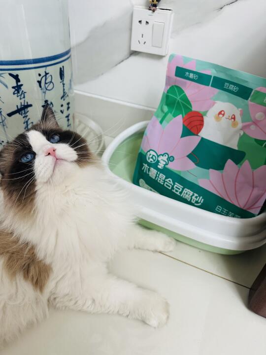 香香的猫砂谁能不爱？！