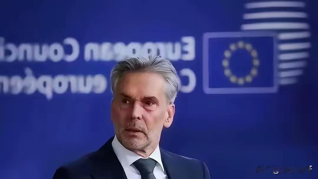 快讯！快讯！
荷兰突然宣布了：如果中国断供稀土，我们将采取必要手段。

这番强硬