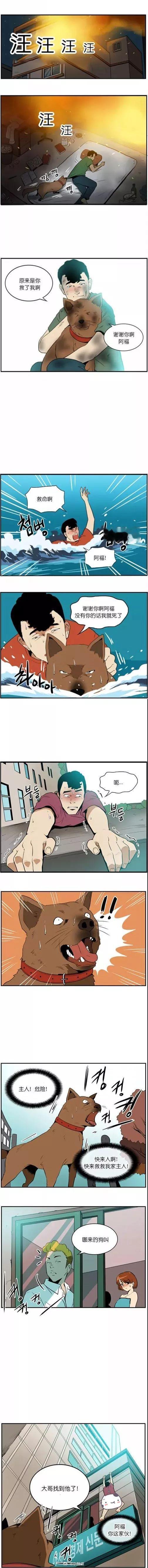 危险的瞬间 