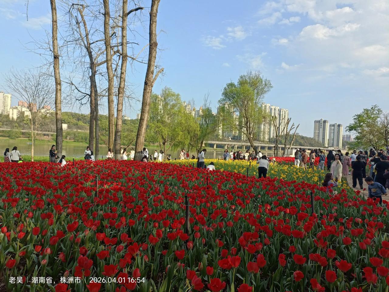 晒一下你的景株洲湘江风光带国家水利风景区