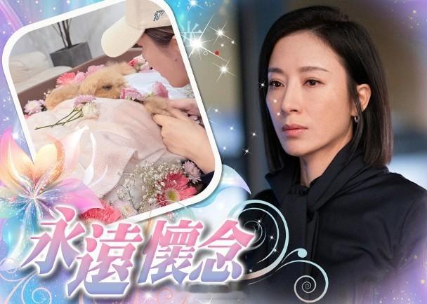 【On.cc】楊茜堯月內兩愛犬離世　傷感：寶貝彩虹橋美麗嗎？藝人楊茜堯與羅子溢夫