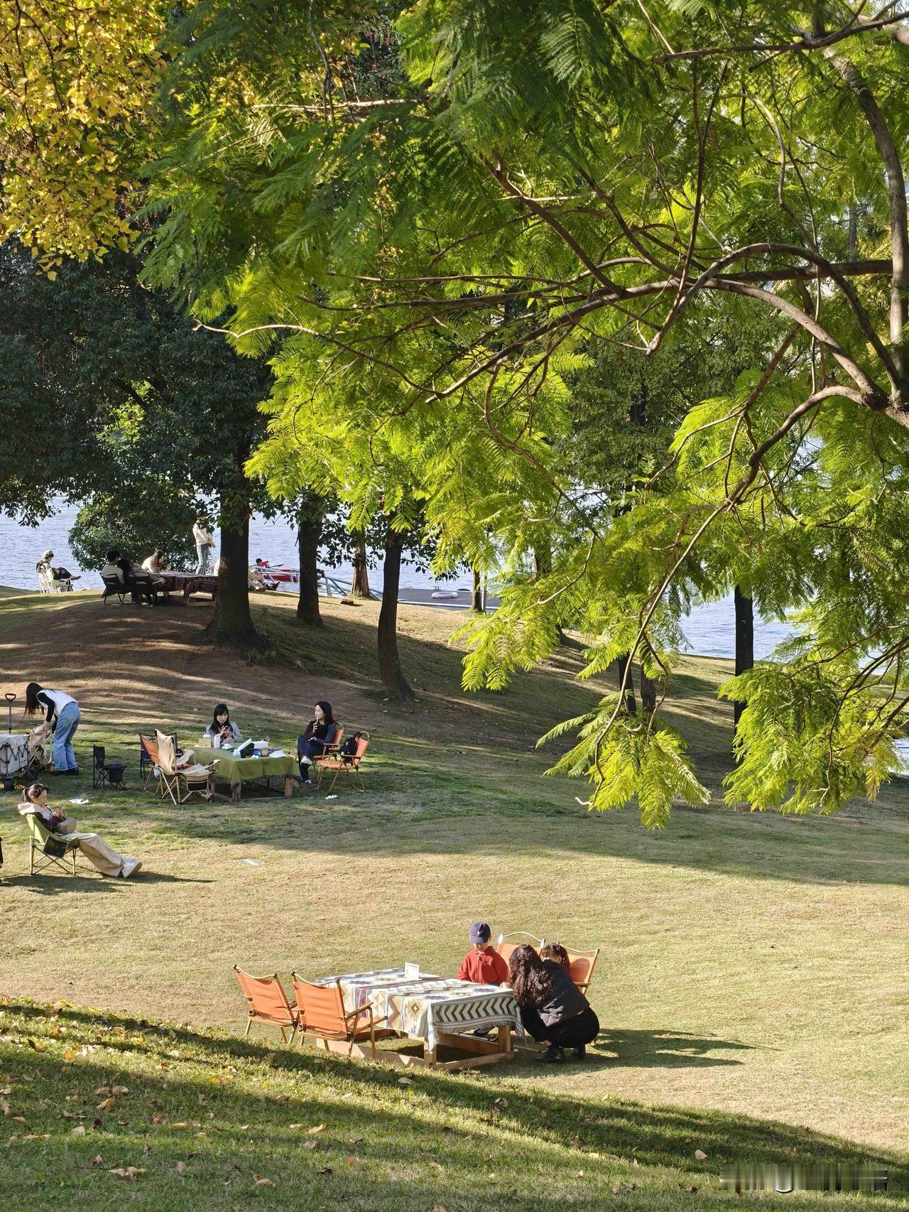 成都人集体狂喜！
今天终于出太阳啦！

没有坏消息，出太阳就是最好的消息！
赶紧