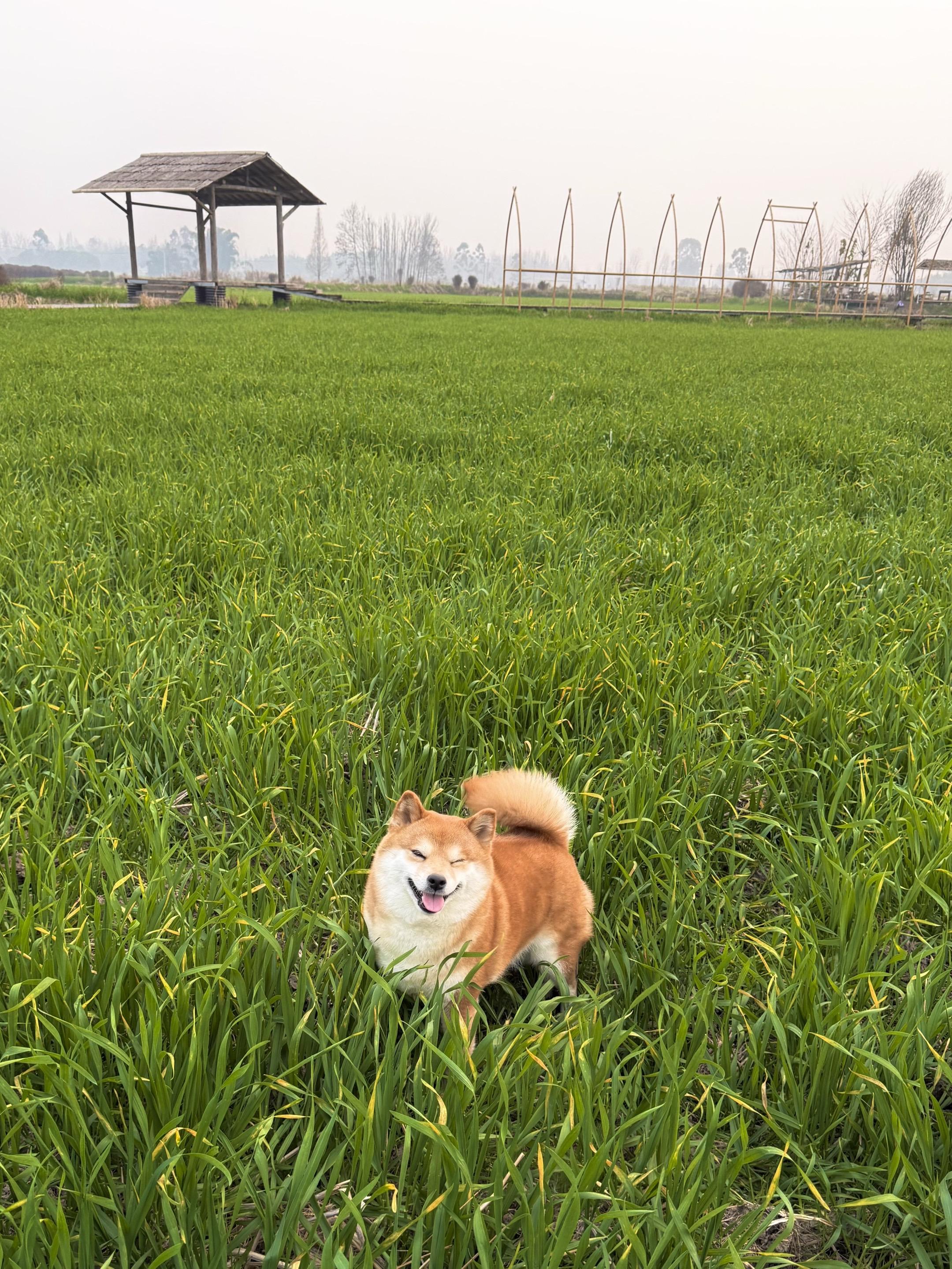 我们天下第一好！