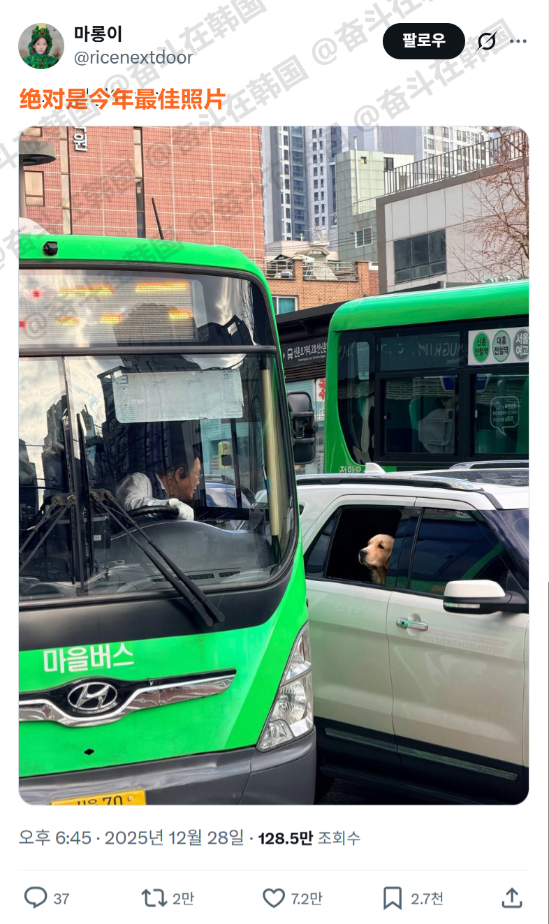 韩国人：可以入选韩国今年最佳照片了（feat.翟潇闻街拍）海外新鲜事 热点现场